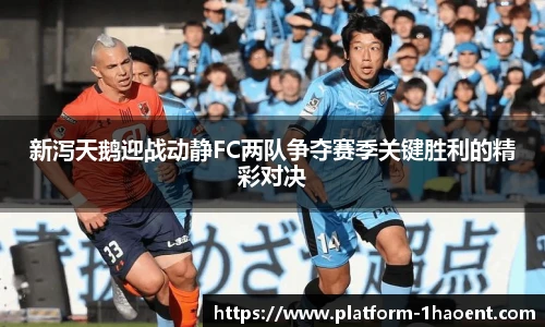 新泻天鹅迎战动静FC两队争夺赛季关键胜利的精彩对决